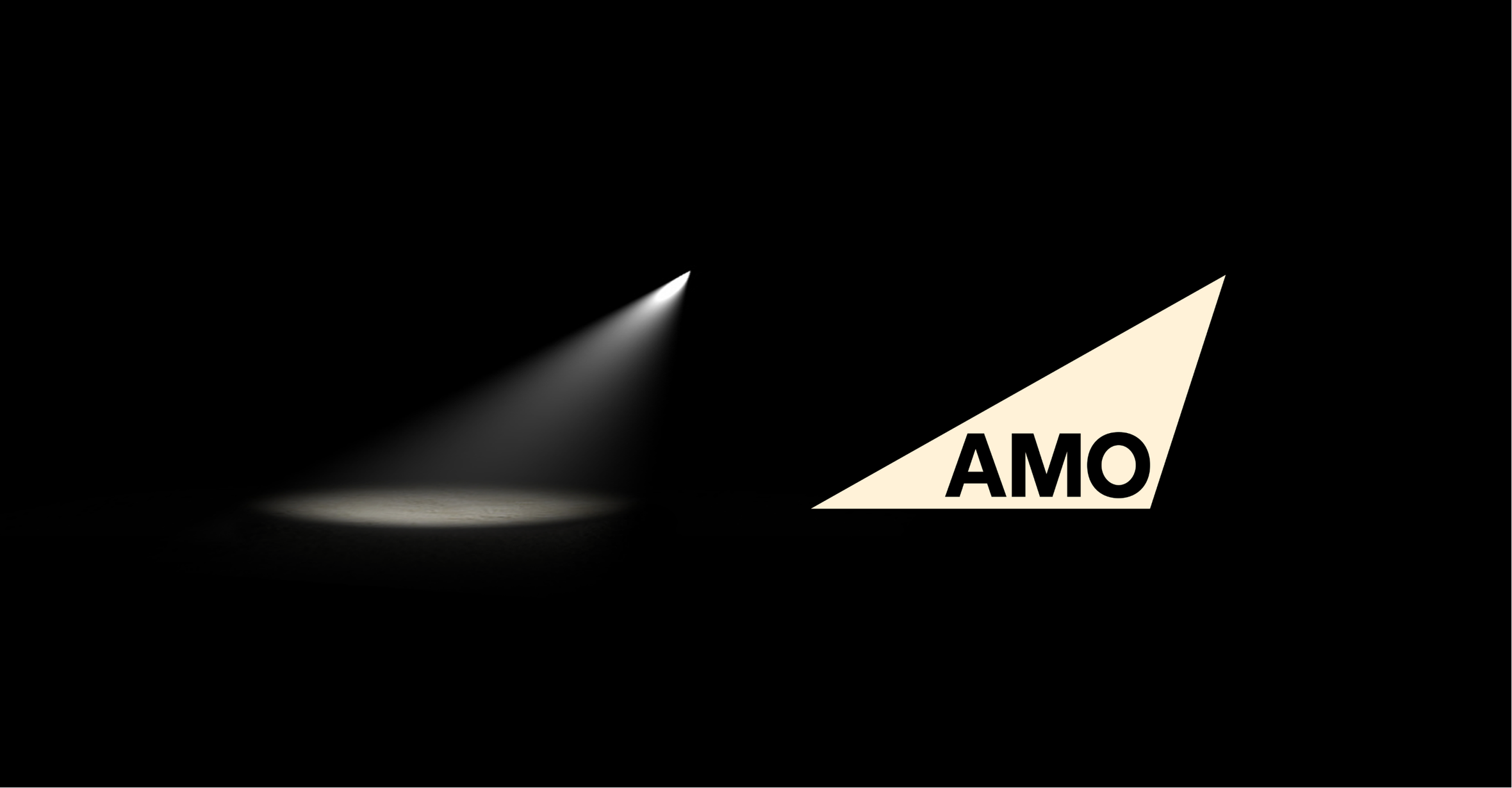 Branding and website for AMO